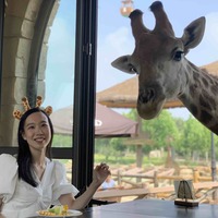 Qi Yang estimated net worth profile