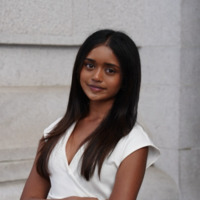 Nikita Mullangi estimated net worth profile
