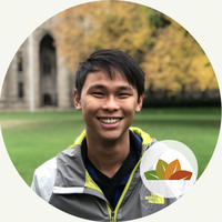 Dan Chi estimated net worth profile