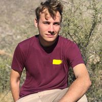 Sam Trautwein estimated net worth profile