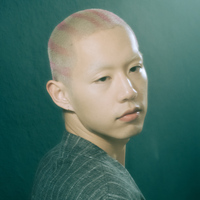 Nick Yang estimated net worth profile