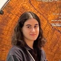Dorsa Rohani estimated net worth profile