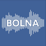 Bolna AI