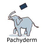 Pachyderm logo