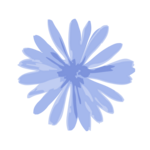 Chicory logo